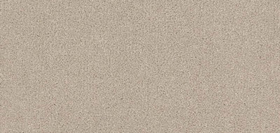 Furlong Flooring Renaissance Luxury Carpet (Ammonite, 3M X 5M)