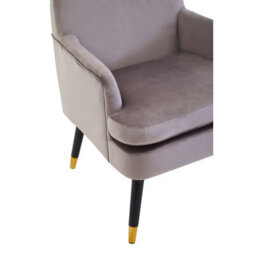 Orsina Mink Velvet Armchair, Built To Last Lounge Chair, Easy To Maintain Velvet Chair, Reliable Armchair - thumbnail 6