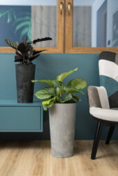 Lamela™ Lilia Black Concrete Round Vase Plant Pot, Stone Effect Resin Indoor And Outdoor Planter D40 H75Cm - thumbnail 2