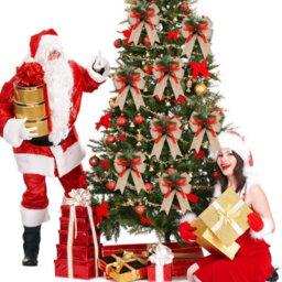 Amorly 6 Pcs Christmas Bows Xmas Bows Tree Decor,burlap Bow Christmas Decor,christmas Decoration For Home Tree Ornament Party Front Door - thumbnail 5