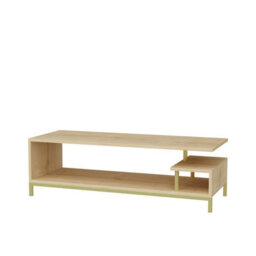 Decorotika Reilly Tv Stand Tv Unit For Tv's Up To 55 Inch Gold And Oak