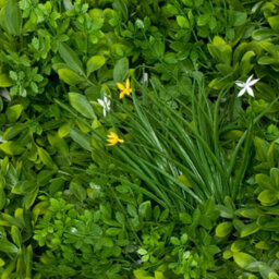 GreenBrokers Artificial Green Wall Hedge With Mixed Leaf Foliage And Yellow/white Flowers (1M X 1M) - Uv Stable Vertical Garden (Pack Of 4) - thumbnail 4