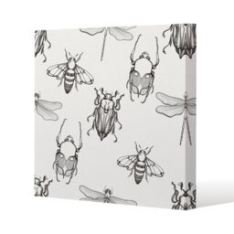 Andrew Lee Sketch Of Scarab Beetle, May Bug, Bee And Dragonfly (Canvas Print) / 101 X 101 X 4Cm - thumbnail 3