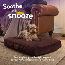 Slumberdown Paws For Slumberdown Brown Dog Bed, Medium - thumbnail 4