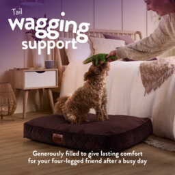 Slumberdown Paws For Slumberdown Brown Dog Bed, Medium - thumbnail 3