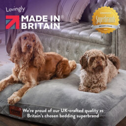 Slumberdown Paws For Slumberdown Brown Dog Bed, Medium - thumbnail 9