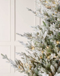 WeRChristmas Snow-Flocked Pre-Lit Douglas Fir Christmas Tree, 6 Ft - thumbnail 3