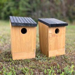 Selections Traditional Wooden Bird Box Nest Birdhouses With Removable Bases (Set Of 2) - thumbnail 2