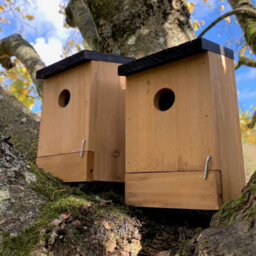 Selections Traditional Wooden Bird Box Nest Birdhouses With Removable Bases (Set Of 2) - thumbnail 1