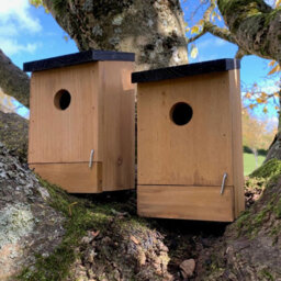 Selections Traditional Wooden Bird Box Nest Birdhouses With Removable Bases (Set Of 2) - thumbnail 5