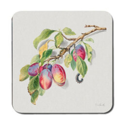 Benjamin Tate Design Plum Botanical Placemats And Coasters Set With Wood Backing Limited Edition Exclusive - thumbnail 3