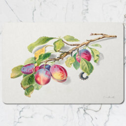 Benjamin Tate Design Plum Botanical Placemats And Coasters Set With Wood Backing Limited Edition Exclusive - thumbnail 2