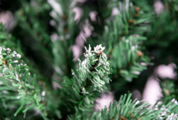 Shatchi 5Ft Stockholm Pine Artificial Designer Christmas Tree Berries & Frosted Cones Mixed - thumbnail 9