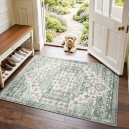 Aspire Homeware Modern Low Pile Area Rug, Non-Slip Living Room Door And Kitchen Rugs, Ember Design (L)60Cm X (W)40Cm