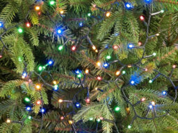 Festive Glow-Worm Lights - Multicolour - 1000 Leds - thumbnail 2