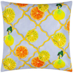 Wylder Citrus Trellis Outdoor Polyester Filled Cushion, Blue, 45 X 45Cm