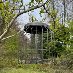Selections Heavy Duty Squirrel Proof Hanging Bird Nut Feeder Cage - thumbnail 4