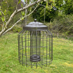 Selections Heavy Duty Squirrel Proof Hanging Bird Nut Feeder Cage - thumbnail 1