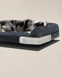 Songmics Orthopedic Large Dog Sofa, Premium Foam Bed With Washable Cover, Dark Grey - thumbnail 5