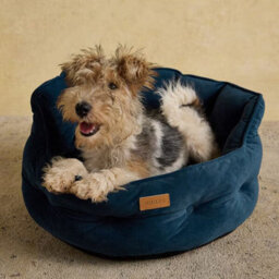 Joules Chesterfield Dog Bed, Navy, Soft Velvet Fabric, Thickly Padded, Machine Washable, 70Cm Diameter, Large - thumbnail 6