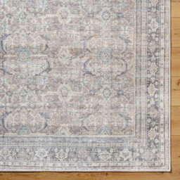 Livabliss Becki Owens Darling-Washable Grey Brown Traditional Vintage Boho Living Dining Rug 160 X 213 Cm Easy Care, Non Shedding - thumbnail 7