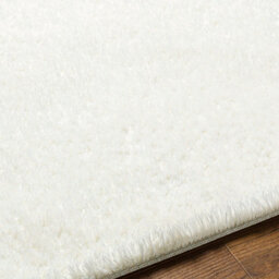 Livabliss Round Cloudy Shaggy-Solid Color Ivory Plush Soft Pile Living Bedroom Rug 120 X 120 Cm Easy Care, Non Shedding - thumbnail 3