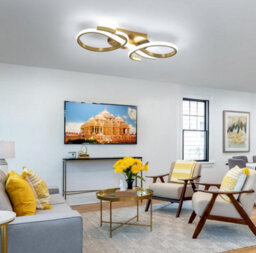 Led Ceiling Light 36W Creative Gold Ceiling Lamp Led 42Cm Cool White - thumbnail 3