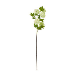Wyld Haus Set Of 3 Green Snowball Viburnum Artificial Flowers, 770mm Stems - thumbnail 1