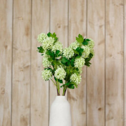 Wyld Haus Set Of 3 Green Snowball Viburnum Artificial Flowers, 770mm Stems - thumbnail 4