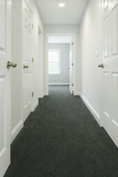 Banquet Stripes And Plains Bleach Cleanable Carpet By Remland (Thyme, 3M X 5M) - thumbnail 2