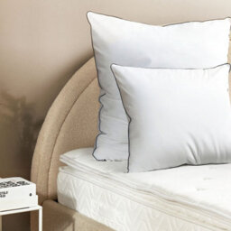 Wyld And Coco Japara Cotton Bed Pillow 50 X 60 Cm - High Profile With Satin Piping, White - thumbnail 2