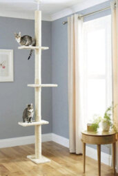Ca&t Cat Scratching Post Floor To Ceiling 285Cm Tree Climbing Tower - thumbnail 1