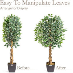 Christow Artificial Variegated Ficus Faux House Plant - thumbnail 6