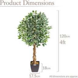 Christow Artificial Variegated Ficus Faux House Plant - thumbnail 7