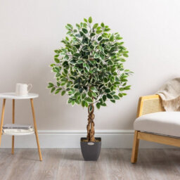 Christow Artificial Variegated Ficus Faux House Plant - thumbnail 2