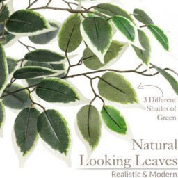 Christow Artificial Variegated Ficus Faux House Plant - thumbnail 3