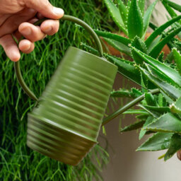 Ckb Ltd Decorative Green Galvanized Ribbed Farmhouse Style Indoor Watering Can With Narrow Spout Small 1.1L (Olive Green) - thumbnail 2