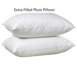ARLinens Pack Of 2 Hollowfibre Bounce Back Pillows Anti-Allergy Hotel Quality Soft & Plump Bedding Pillows - thumbnail 3