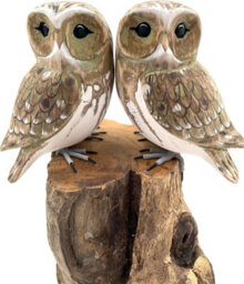My Square Mile Bird Statue Ornament Wooden Hand Carved Bird Tree Stump British Birds Indoor/outdoor Garden Ornament (Double White Owl) - thumbnail 4
