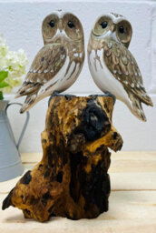 My Square Mile Bird Statue Ornament Wooden Hand Carved Bird Tree Stump British Birds Indoor/outdoor Garden Ornament (Double White Owl)