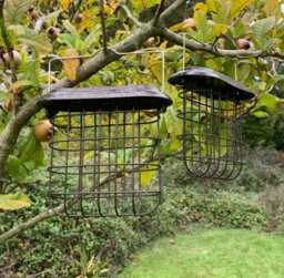 Selections Hanging Suet Block Bird Feeders For Bird Feeding Stations (Set Of 2) - thumbnail 1