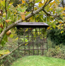 Selections Hanging Suet Block Bird Feeders For Bird Feeding Stations (Set Of 2) - thumbnail 2