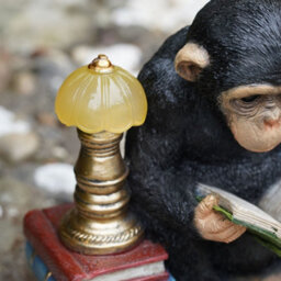 Burgess Reading Monkey Solar Light Resin Sculpture Outdoor Garden Home Ape Statue Lamp Chimp Jungle Animal Gift - thumbnail 3