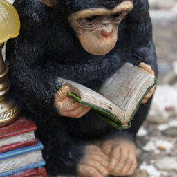 Burgess Reading Monkey Solar Light Resin Sculpture Outdoor Garden Home Ape Statue Lamp Chimp Jungle Animal Gift - thumbnail 4