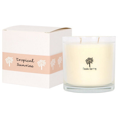 Nicola Spring Tropical Sunrise Scented Candle - 400G 28H Natural Single Wick Soy Wax Aromatherapy Candle Home Fragrance - image 1