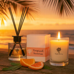 Nicola Spring Tropical Sunrise Scented Candle - 400G 28H Natural Single Wick Soy Wax Aromatherapy Candle Home Fragrance - thumbnail 5
