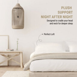 Sleepynights Polycotton Hollowfibre Premium Pillows - 4 Pack - thumbnail 4