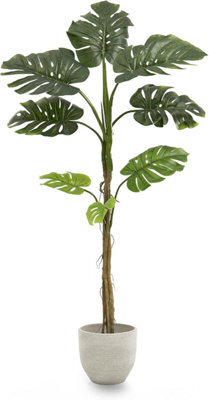 Artificial Plant Monstera, Maia Shop For Home And Office Decoration, 160Cm - image 1