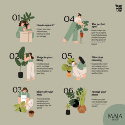 Artificial Plant Monstera, Maia Shop For Home And Office Decoration, 160Cm - thumbnail 5
