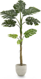 Artificial Plant Monstera, Maia Shop For Home And Office Decoration, 160Cm - thumbnail 1